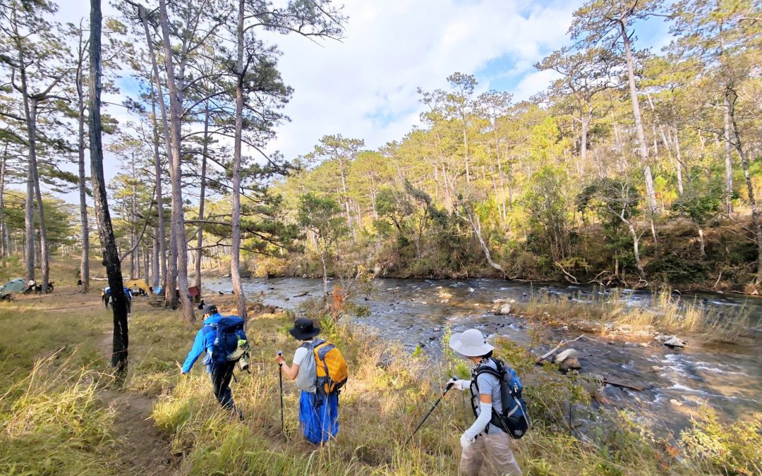 Trekking rừng thông Đà Lạt 55km – Hành trình đi bộ xuyên rừng thông cổ thụ cùng Chạm Adventure