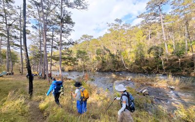 Trekking rừng thông Đà Lạt 55km – Hành trình đi bộ xuyên rừng thông cổ thụ cùng Chạm Adventure